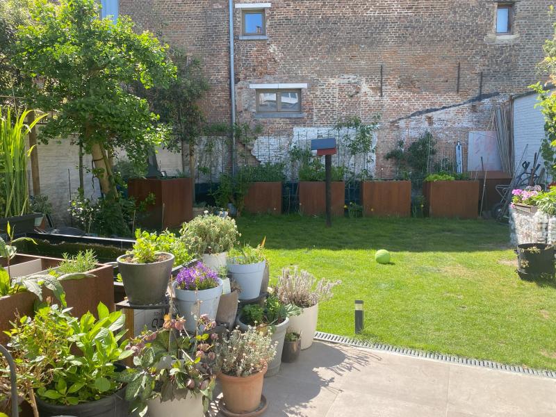 zicht op de tuin van de Alruin
